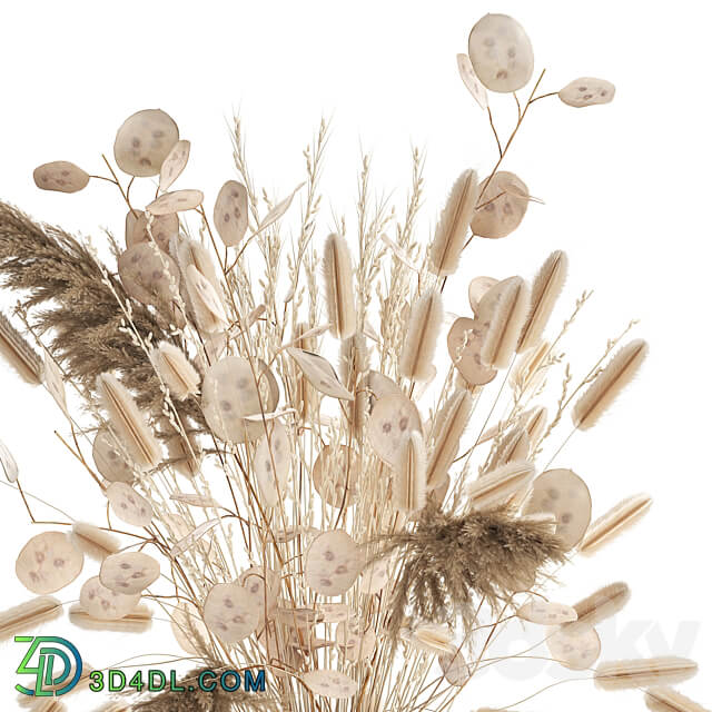 Bouquet 127. bouquet Lunnik Lunaria flowerpot bouquet dried flowers reeds pampas grass 3D Models