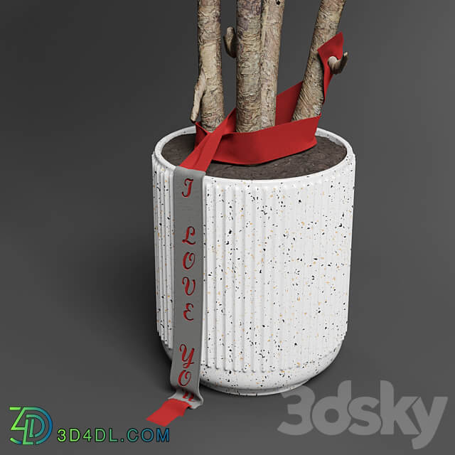 Indoor outdoor plant 111 pot friendship love tree concrete vase