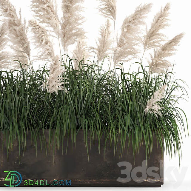 Plant collection 1033. White pampas grass flowerpot landscaping rust metal 3D Models