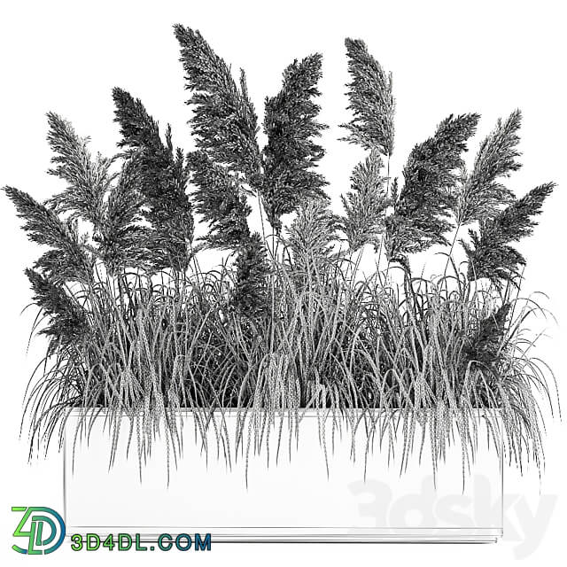 Plant collection 1033. White pampas grass flowerpot landscaping rust metal 3D Models