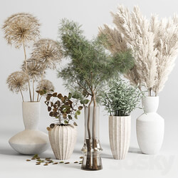bouquet 13 concrete vse plant pampas and dry hogweed dry leaves 