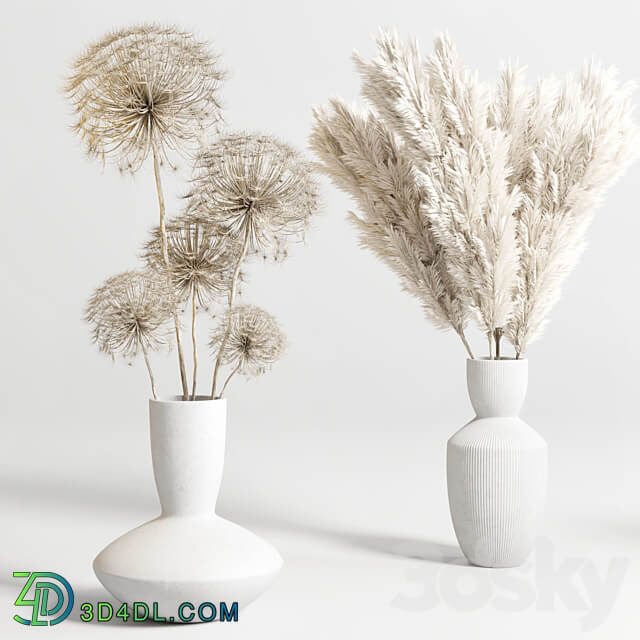 bouquet 13 concrete vse plant pampas and dry hogweed dry leaves
