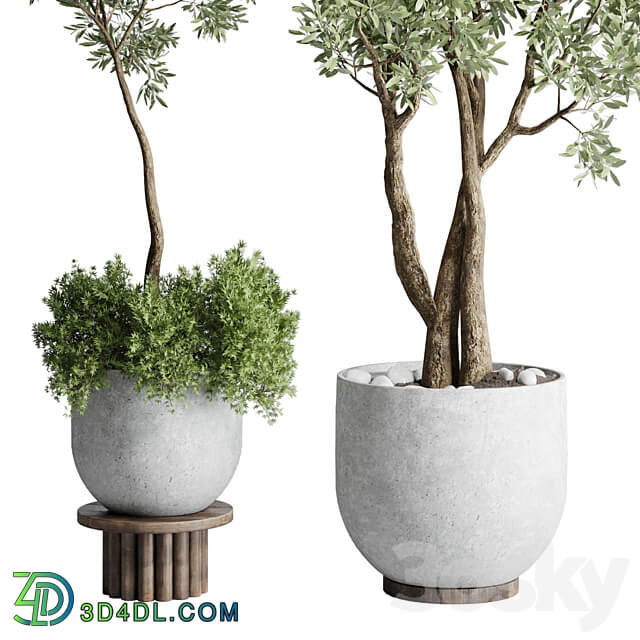Collection Outdoor Indoor plant 52 concrete dirt vase pot tree