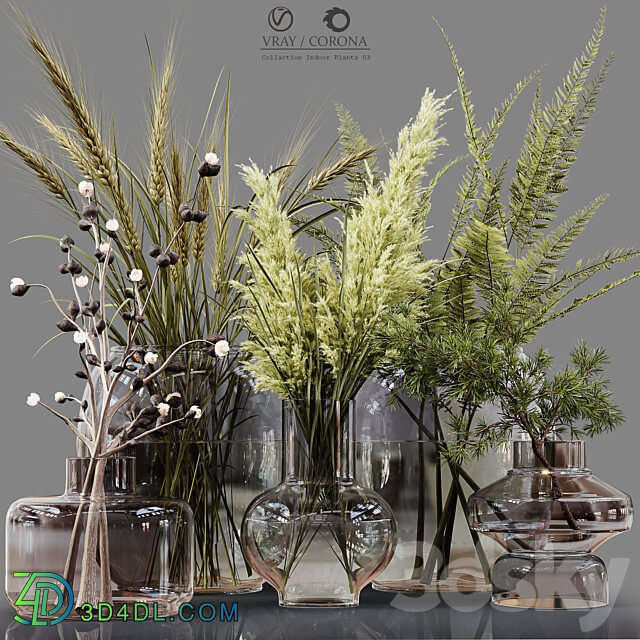 Collaction Indoor Plants 03