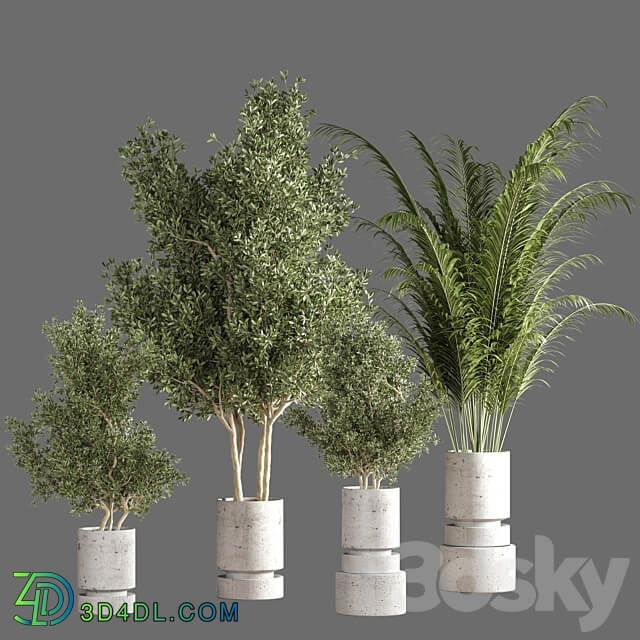 indoor plant set 14 3D Models