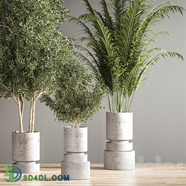 indoor plant set 14 3D Models