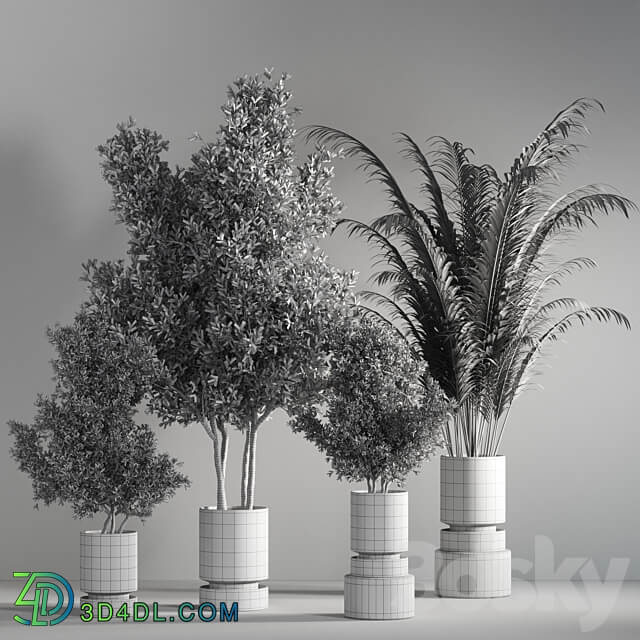 indoor plant set 14 3D Models