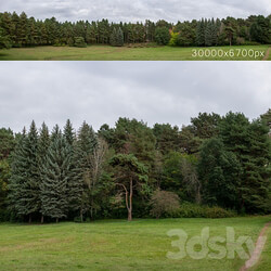 Autumn panorama with trees. 30k 