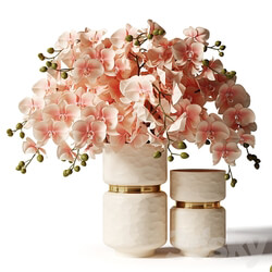 Bouquet of pink orchids in a modern beige vase 3D Models 3DSKY 
