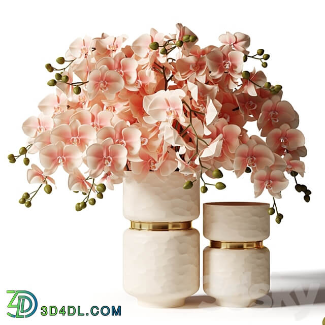 Bouquet of pink orchids in a modern beige vase 3D Models 3DSKY