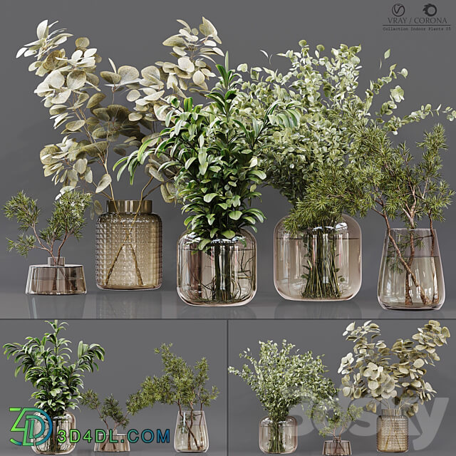 Collaction Indoor Plants 05 3D Models 3DSKY