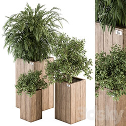 Outdoor Plant Set 297 Wooden Plant Box 3D Models 3DSKY 