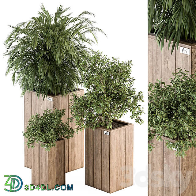 Outdoor Plant Set 297 Wooden Plant Box 3D Models 3DSKY