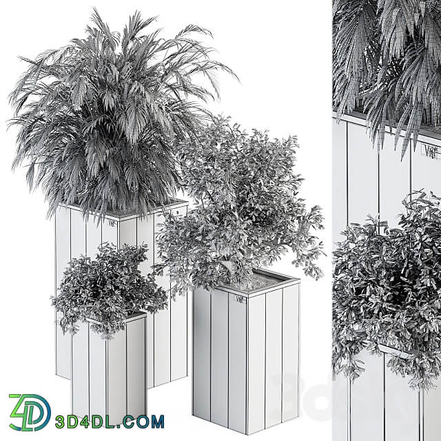 Outdoor Plant Set 297 Wooden Plant Box 3D Models 3DSKY
