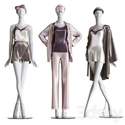 Set of female home clothes on mannequins 3D Models 3DSKY 
