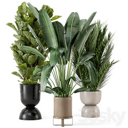 Indoor Plants in Ferm Living Bau Pot Large Set 273 3D Models 3DSKY 