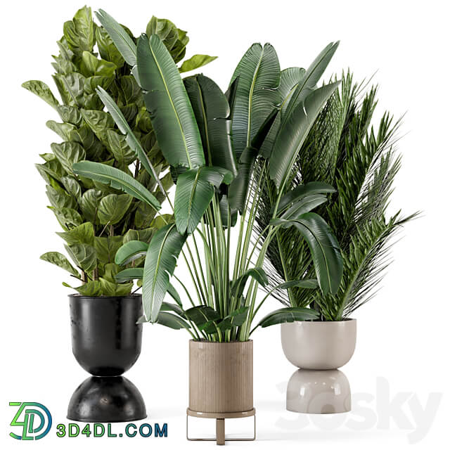 Indoor Plants in Ferm Living Bau Pot Large Set 273 3D Models 3DSKY