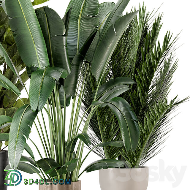 Indoor Plants in Ferm Living Bau Pot Large Set 273 3D Models 3DSKY