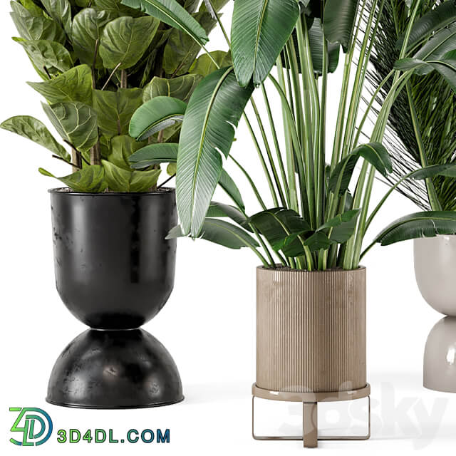 Indoor Plants in Ferm Living Bau Pot Large Set 273 3D Models 3DSKY