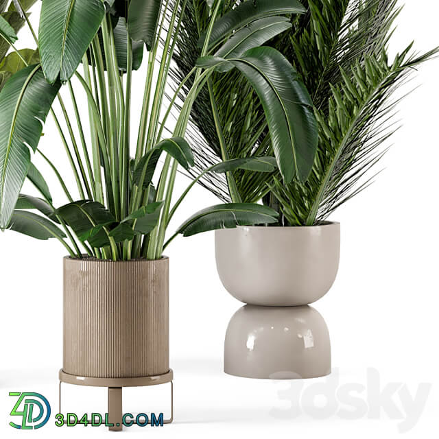 Indoor Plants in Ferm Living Bau Pot Large Set 273 3D Models 3DSKY