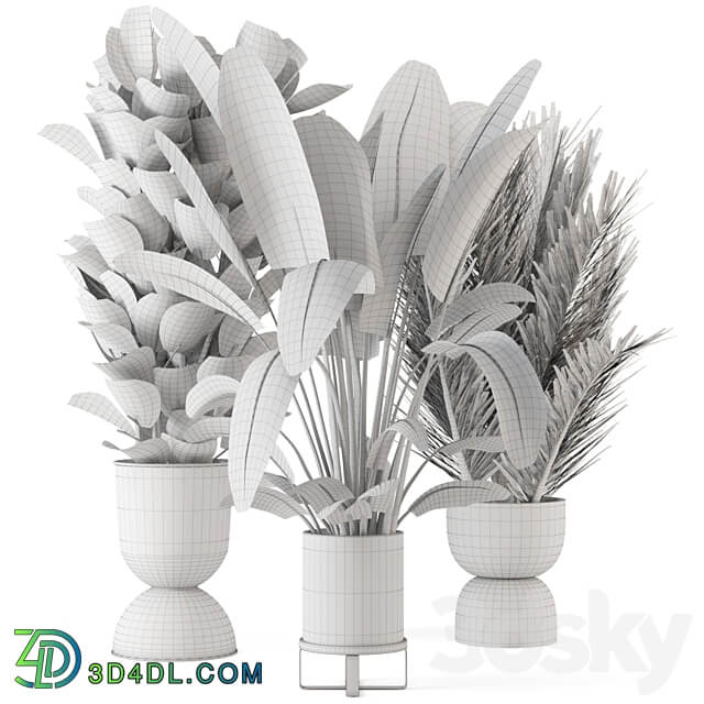 Indoor Plants in Ferm Living Bau Pot Large Set 273 3D Models 3DSKY