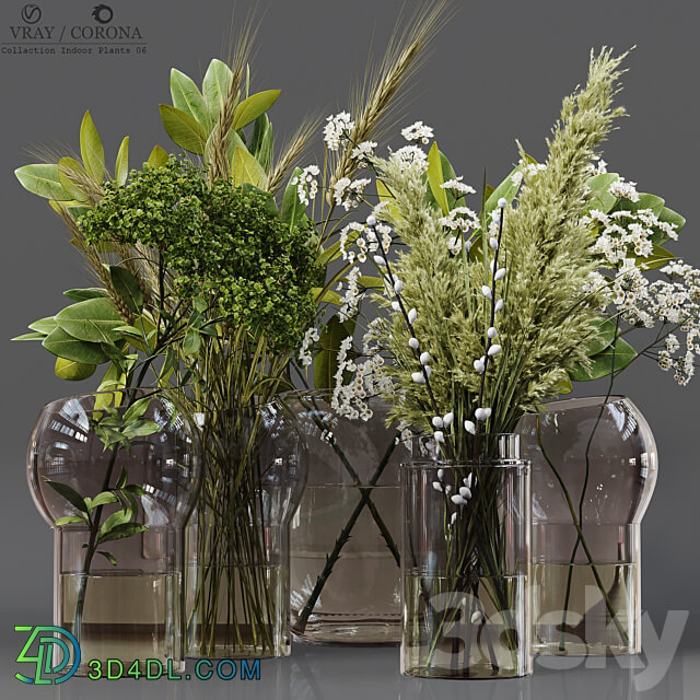 Collaction Indoor Plants 06 3D Models 3DSKY