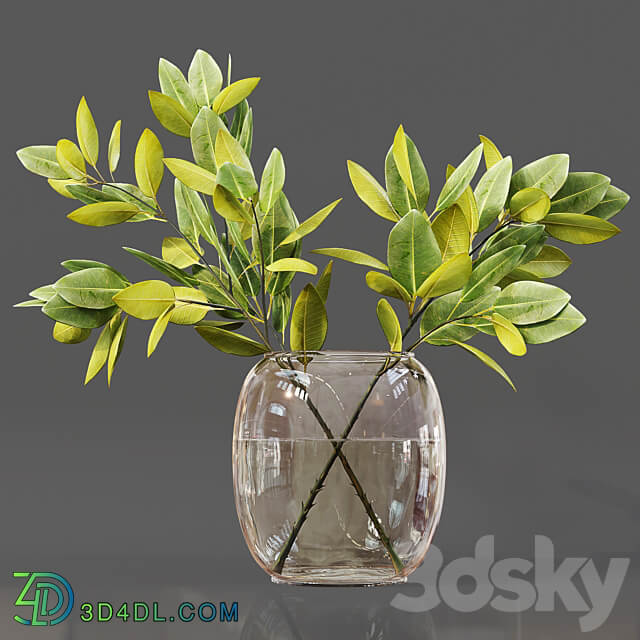 Collaction Indoor Plants 06 3D Models 3DSKY