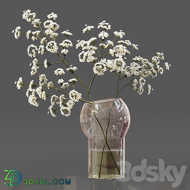 Collaction Indoor Plants 06 3D Models 3DSKY