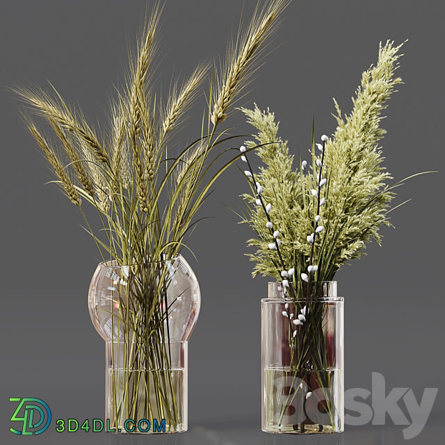 Collaction Indoor Plants 06 3D Models 3DSKY