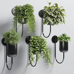 collection Indoor plant 135 vase metal stand wall plant 3D Models 3DSKY 