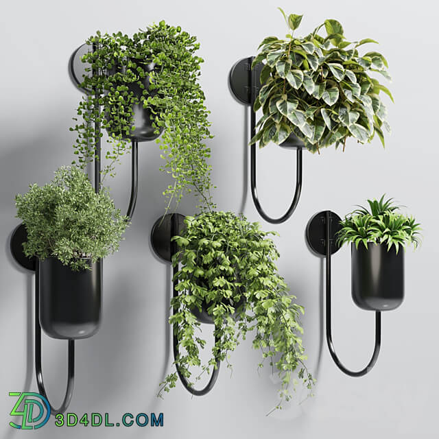 collection Indoor plant 135 vase metal stand wall plant 3D Models 3DSKY