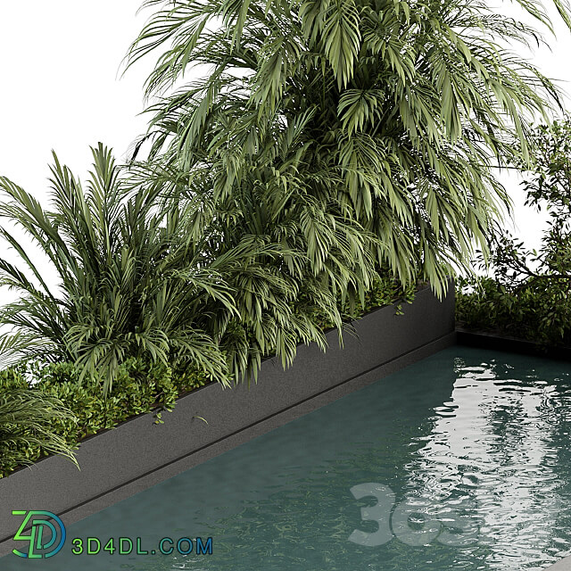 Backyard and Landscape Furniture with Pool 04 Other 3D Models 3DSKY