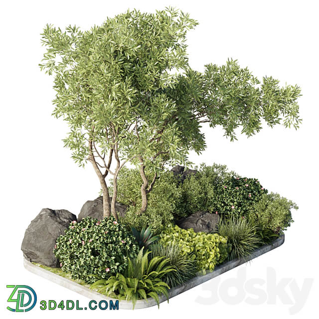 Collection outdoor indoor 62 pot plant tree bush fern the garden pot 3D Models
