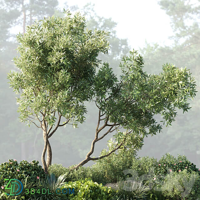 Collection outdoor indoor 62 pot plant tree bush fern the garden pot 3D Models