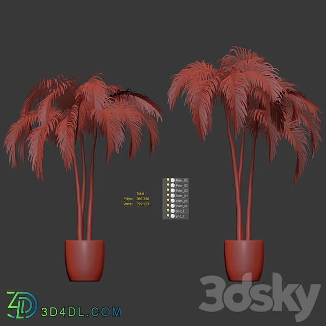 Palms in tubs. 6 models 3D Models 3DSKY