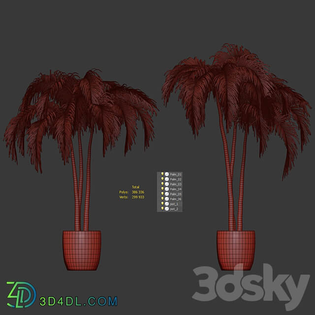 Palms in tubs. 6 models 3D Models 3DSKY