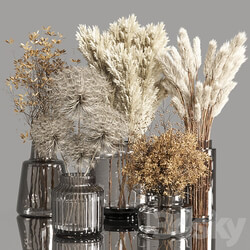 Collection Dry Plants Bouquet Indoor 02 3D Models 3DSKY 