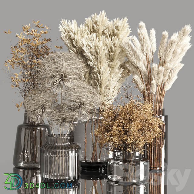 Collection Dry Plants Bouquet Indoor 02 3D Models 3DSKY