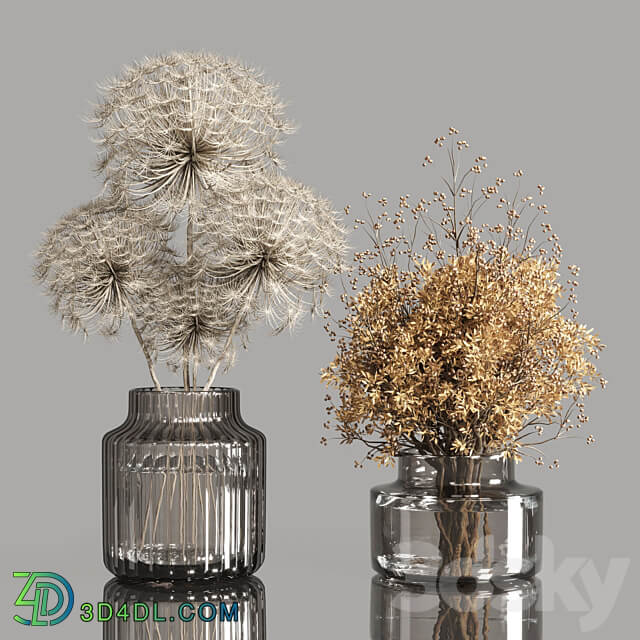 Collection Dry Plants Bouquet Indoor 02 3D Models 3DSKY