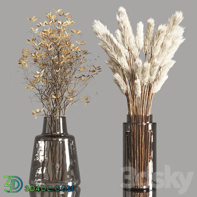 Collection Dry Plants Bouquet Indoor 02 3D Models 3DSKY