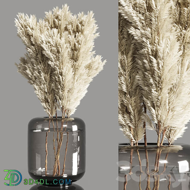 Collection Dry Plants Bouquet Indoor 02 3D Models 3DSKY