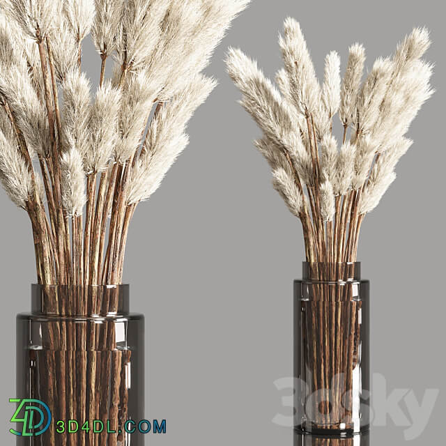 Collection Dry Plants Bouquet Indoor 02 3D Models 3DSKY