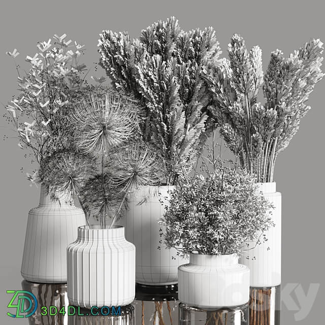 Collection Dry Plants Bouquet Indoor 02 3D Models 3DSKY