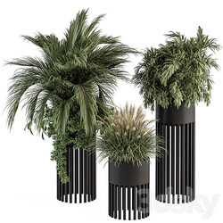indoor Plant Set 301 Plant Set in Round Stand Black pot 3D Models 3DSKY 