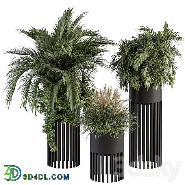 indoor Plant Set 301 Plant Set in Round Stand Black pot 3D Models 3DSKY