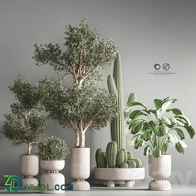 indoor plant set21 3D Models 3DSKY