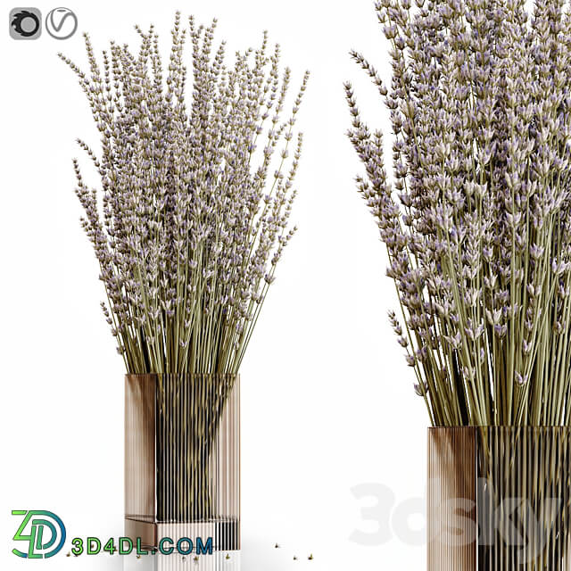 Dry flowers 5 lavender 3D Models 3DSKY