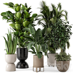 Indoor Plants in Ferm Living Bau Pot Large Set 290 3D Models 3DSKY 