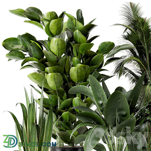 Indoor Plants in Ferm Living Bau Pot Large Set 290 3D Models 3DSKY