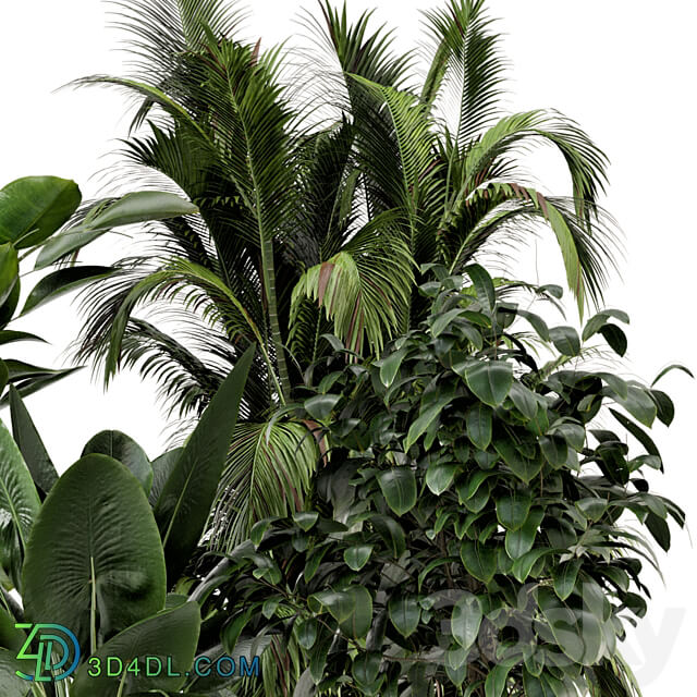 Indoor Plants in Ferm Living Bau Pot Large Set 290 3D Models 3DSKY